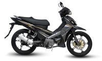 Demak DV110