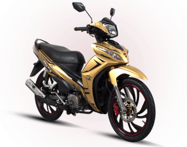 Demak DVS 110
